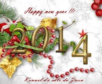 d'à côté du Zwin - Bonne et heureuse année 2014 !!!